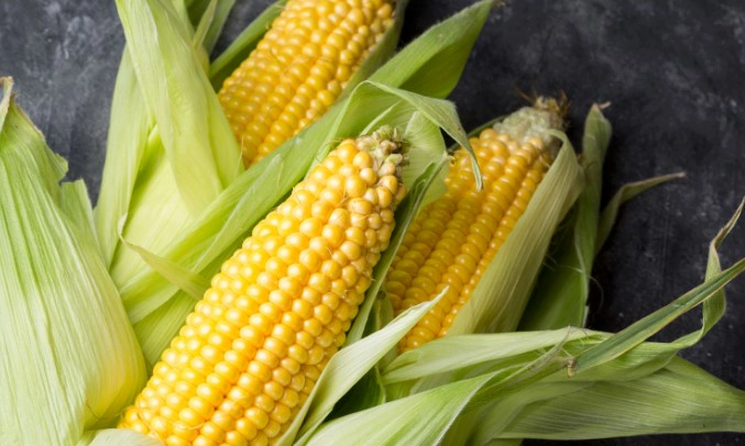 옥수수 주요 영양성분