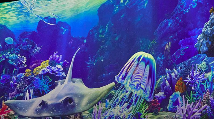 뮤지엄 딥다이브