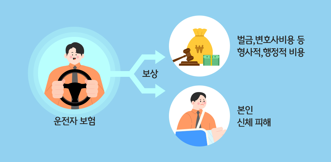 고령운전자 교통안전교육, 보험료 5% 할인되는 이유