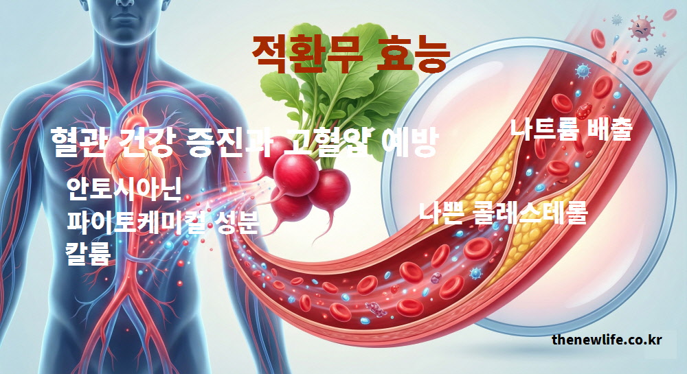 적환무 효능의 혈관 건강 증진과 고혈압 예방을 목적으로 나트륨 배출을 설명하는 인포그래픽
