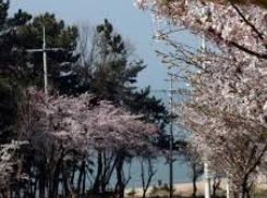 장봉도 배편 예약