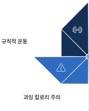 단백질 규칙적 운동