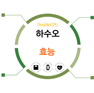 하수오 효능