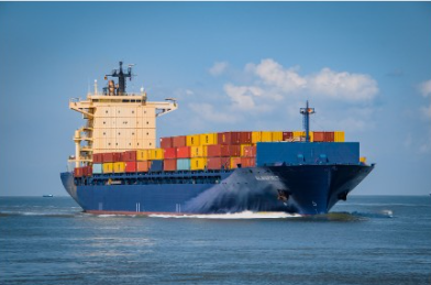 미국 귀국이사 준비