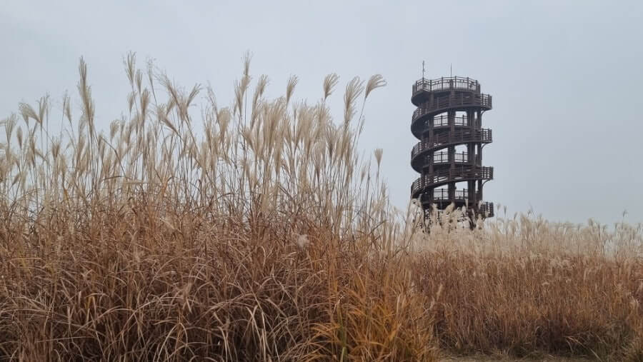 시흥시 갯골 생태공원 가을 여행 포토스폿, 맛집, 주변명소 사진