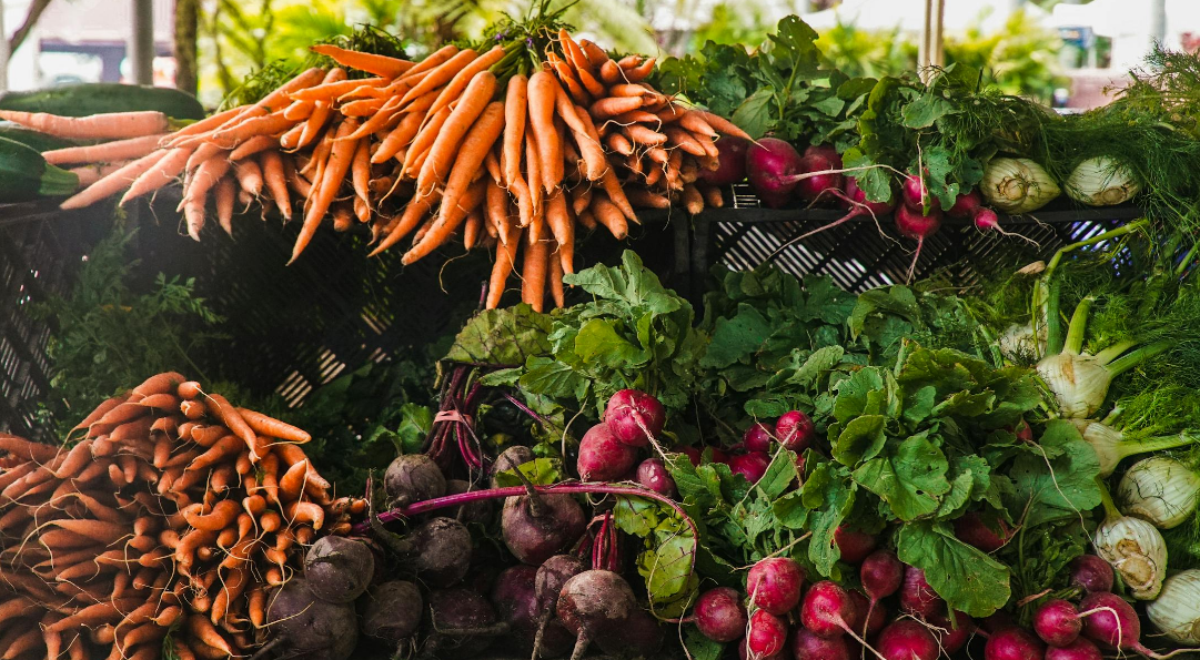 코스트코휴무일