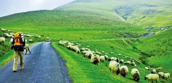 스페인 산티아고 순례길 여행 코스 가이드_3