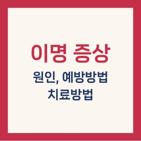 이명 원인