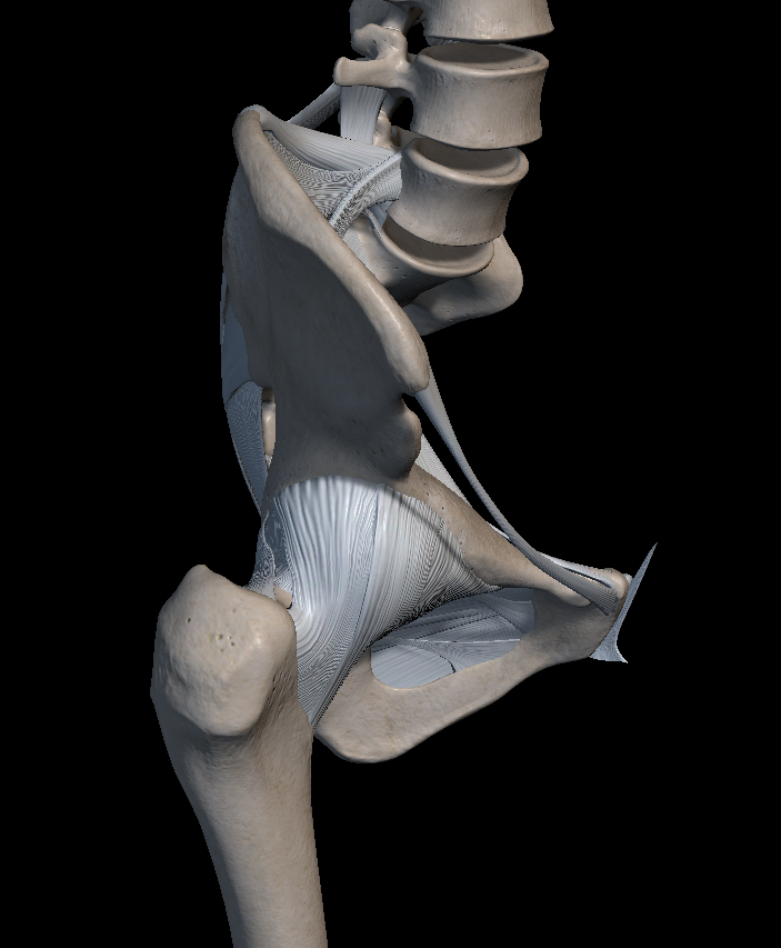 골반 고관절 뚝뚝 소리