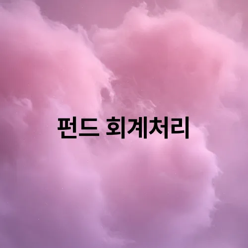 펀드 회계처리