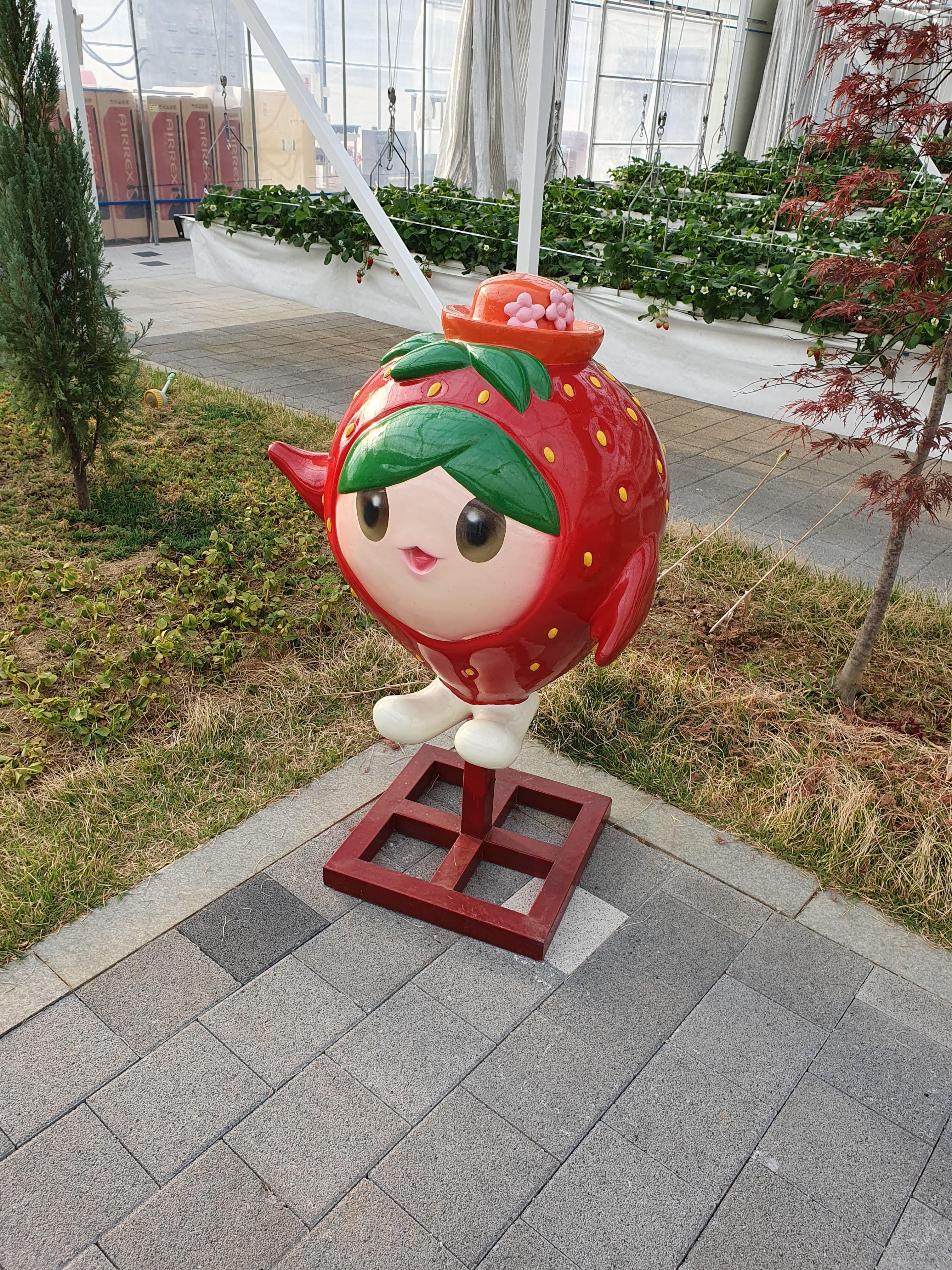 논산 딸기테마공원 딸기재배온실속 딸기 캐릭터 인형