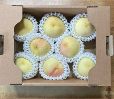 대전 베리 팜 설아복숭아