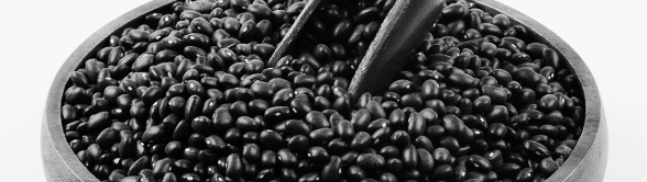 서리태 수확시기: 남부지방