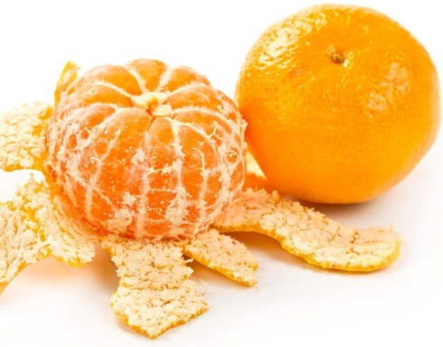 겨울 과일 종류