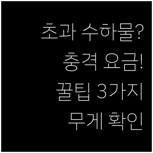 제주항공 위탁수하물 무게 초과시 추가..