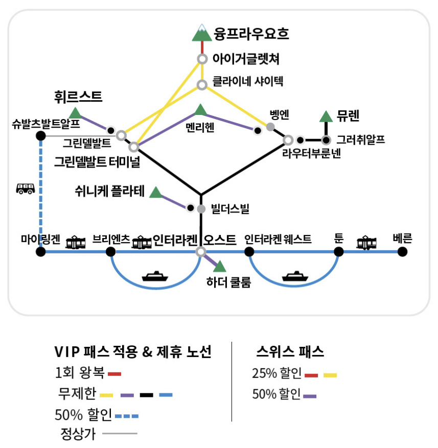 여름 VIP패스 적용 노선 안내