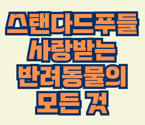 스탠다드푸들