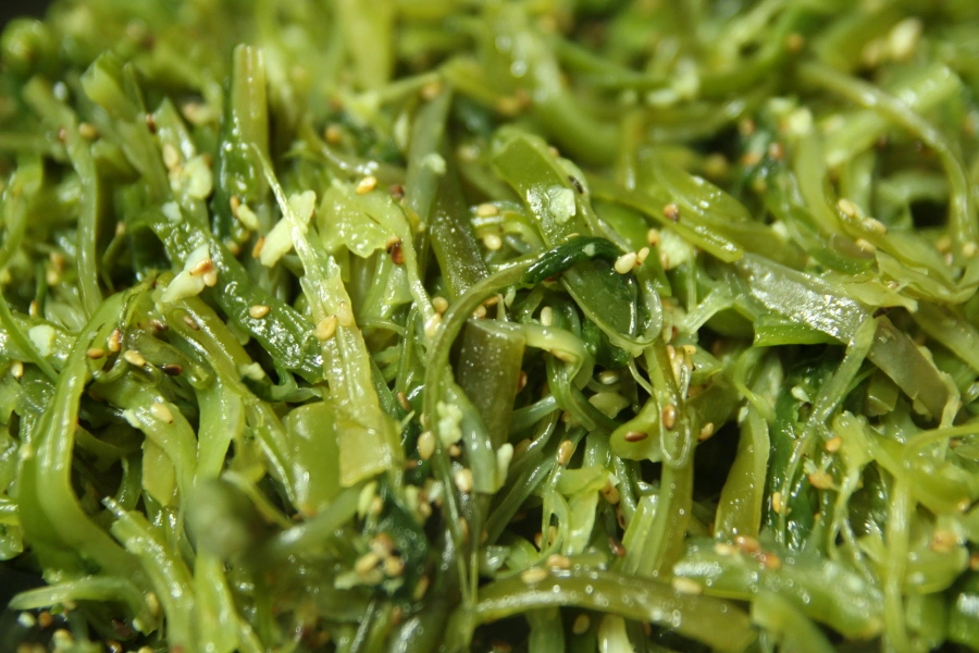 미역줄기볶음 모습