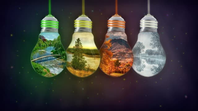 장애인의 계절별 의류 선택 가이드