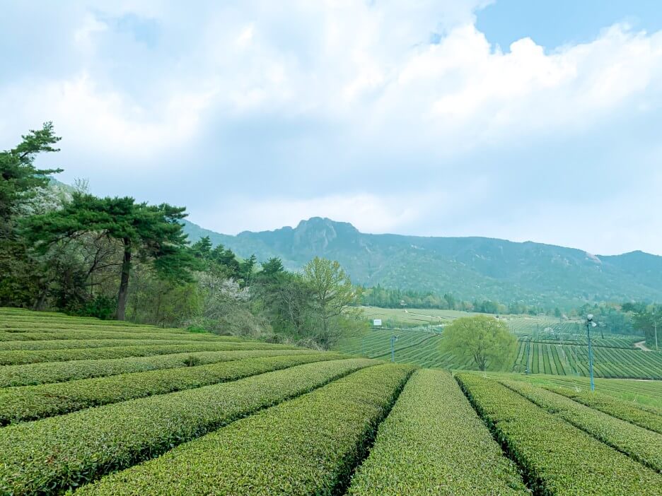 주말 여행지 추천