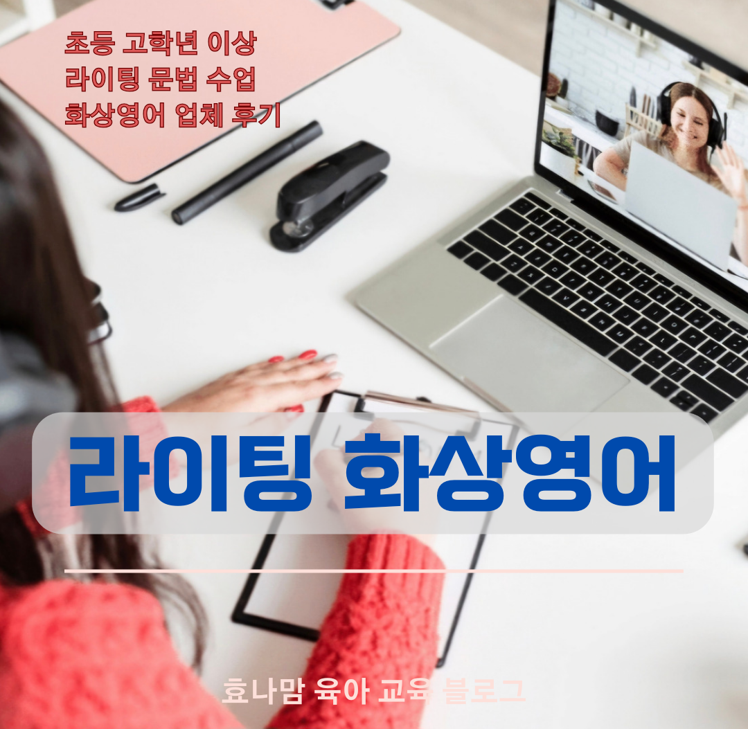 라이팅 화상영어 비교