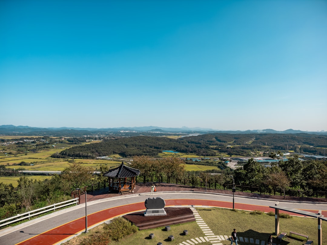 Paju