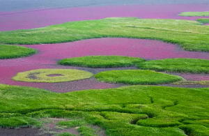 죽기전에꼭가봐야할국내여행지