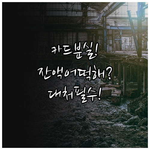 교육급여 바우처 선불카드 분실 대처와..