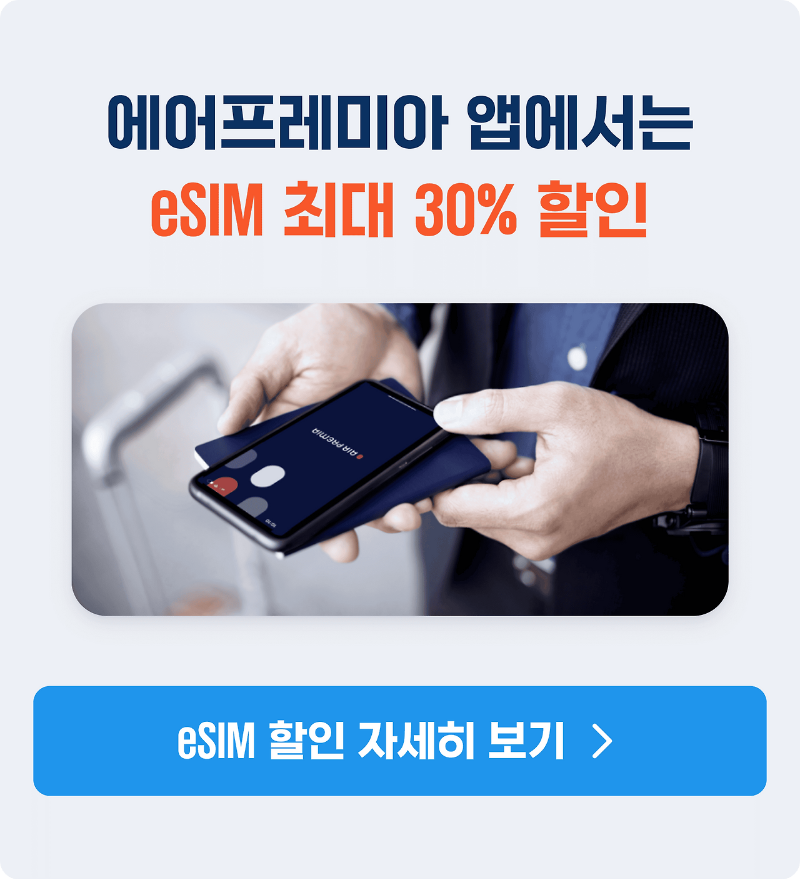 에어프레미아 블랙 프라이데이 특가 항공권 할인 이미지/출처:에어프레미아