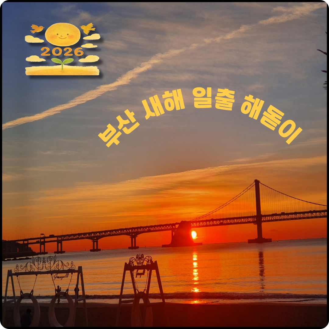 부산 새해 일출 해돋이 명소 이미지