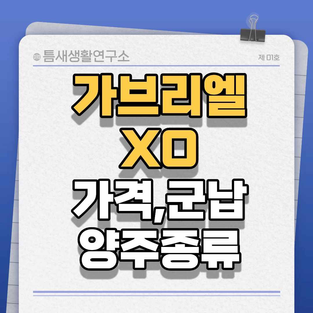 가브리엘XO-썸네일