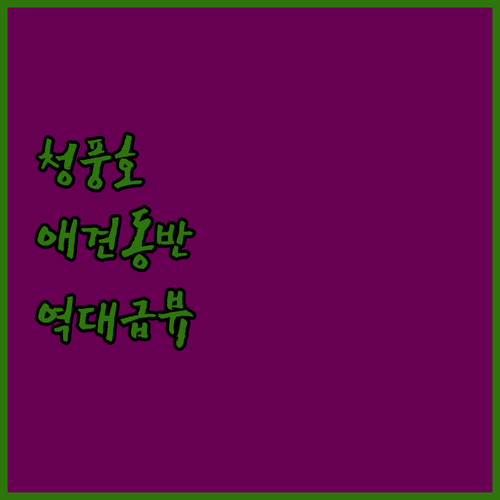 반려동물 동반 가능한 제천 청풍호 글..