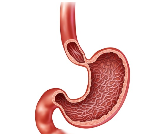 식도암 초기증상