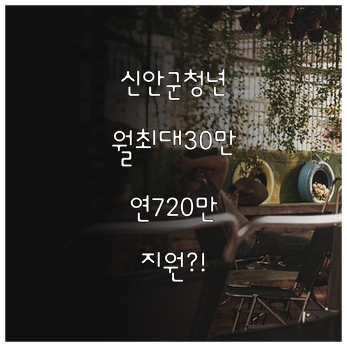 신안군청년월세지원월최대30만원연720..