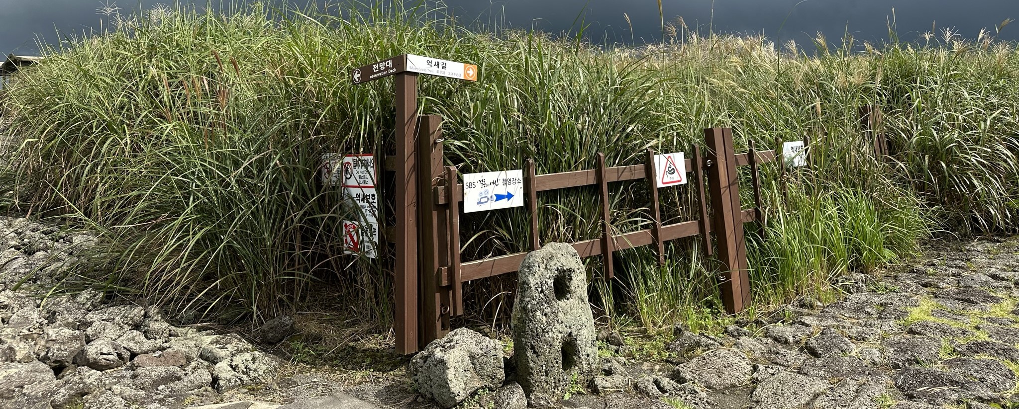 산굼부리 억새풀길