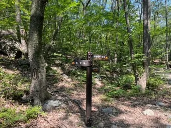 관악산 등산코스 계곡 학바위능선 연주대 사당능선 총정리_13