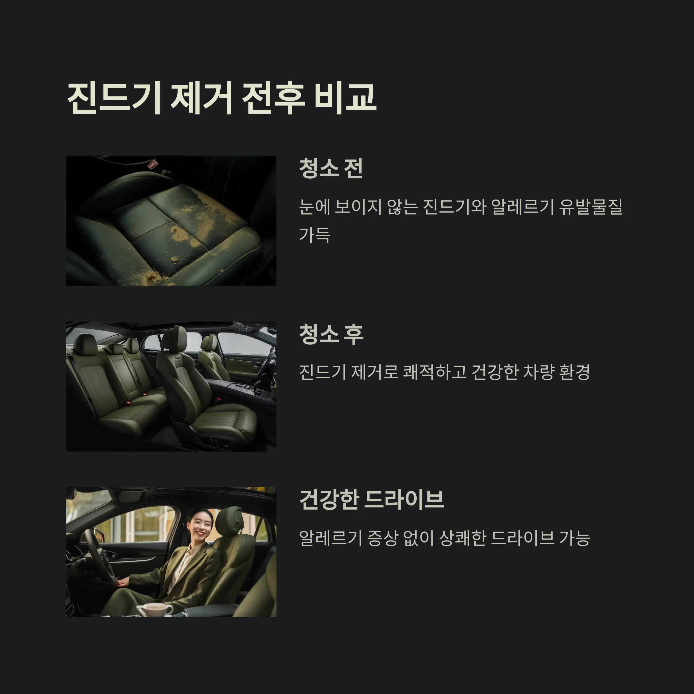 차량 진드기 제거 정보