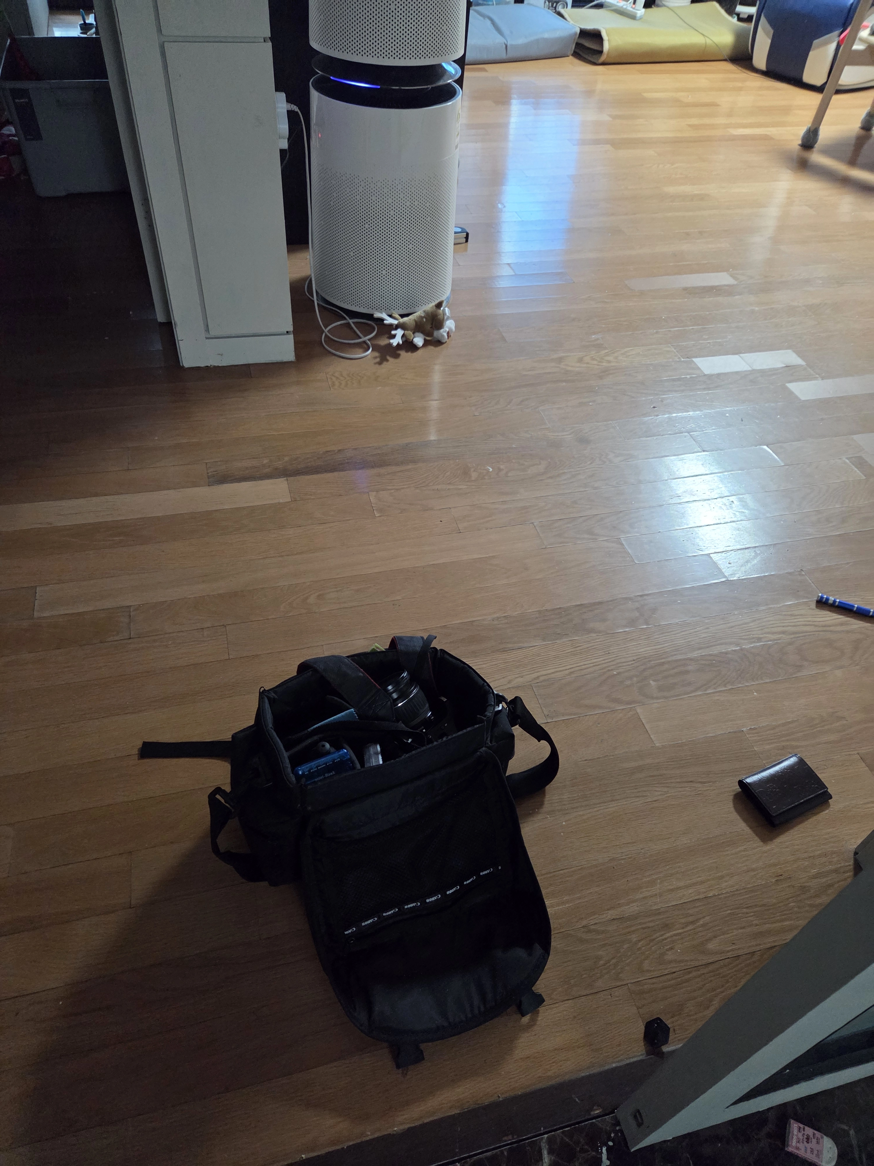 Canon EOS 30D를 바닥에 내려놓고 하루를 끝내기로 한 날