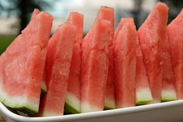 씨-없는-수박의-모습