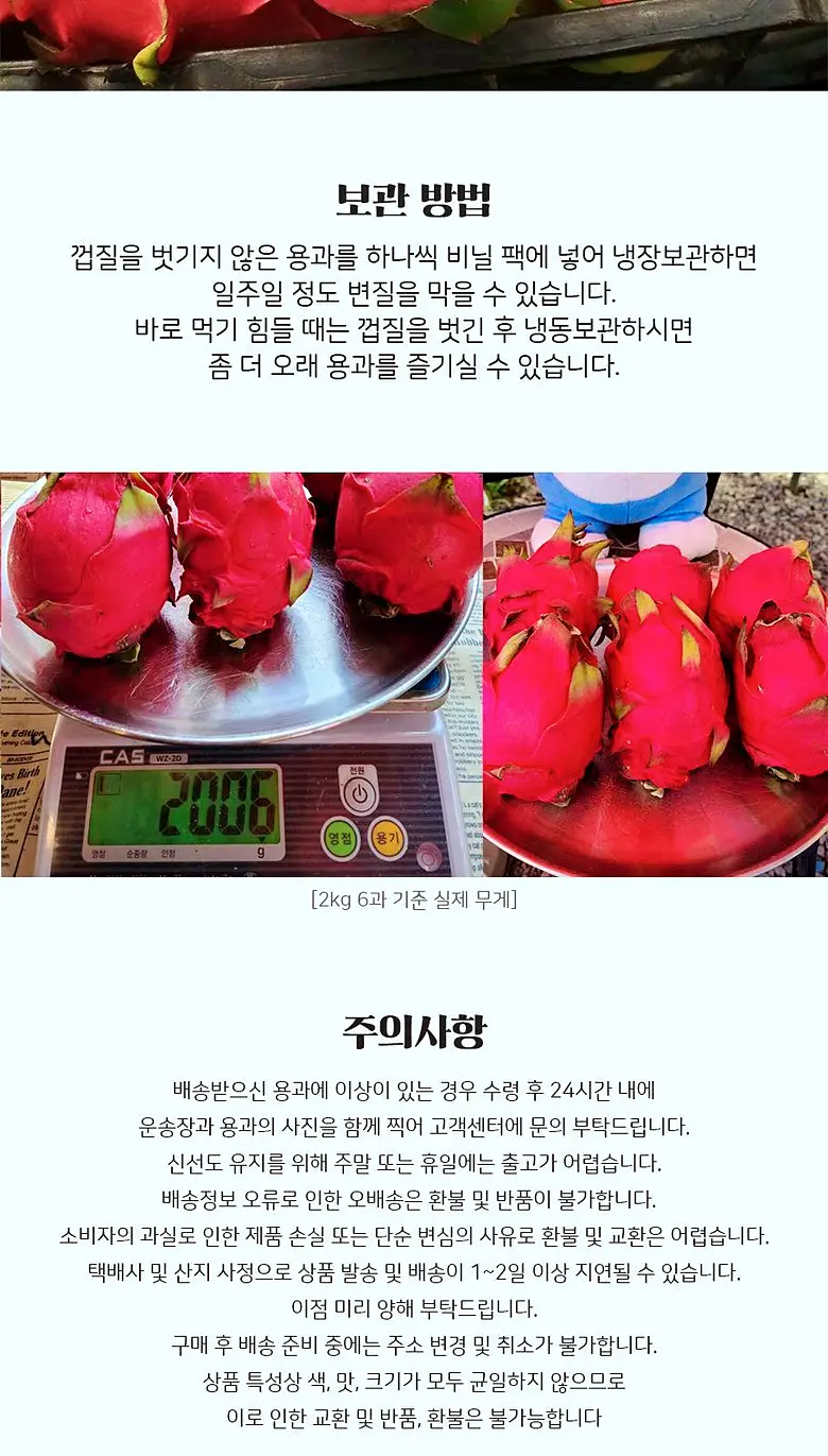 전남 함평 달콤한 용과 홍용과 파는 곳 전국 택배 온라인 전화 주문 추천