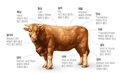 소고기 설도 부위 특징 및 요리 추천 레시피 가이드_1