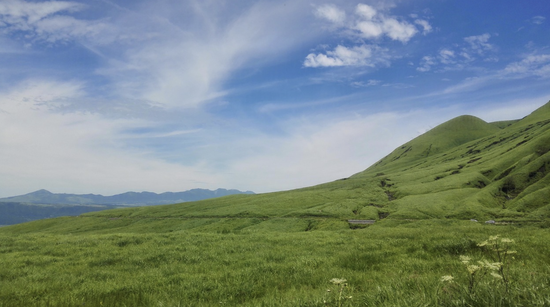 후쿠오카 벚꽃축제, 벚꽃 명소 리스트 + 벚꽃 여행 방법 정리