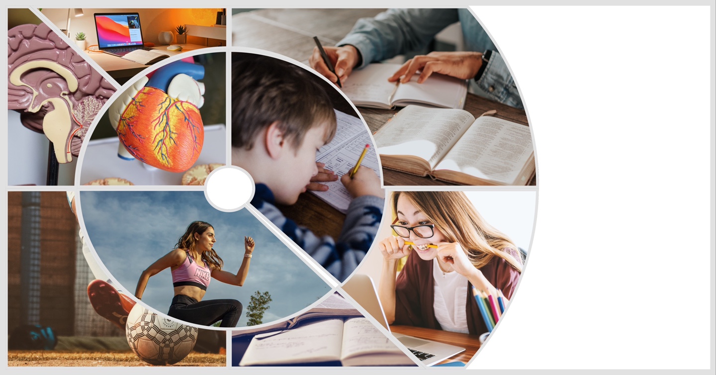 운동이 공부 잘하는 뇌를 만든다