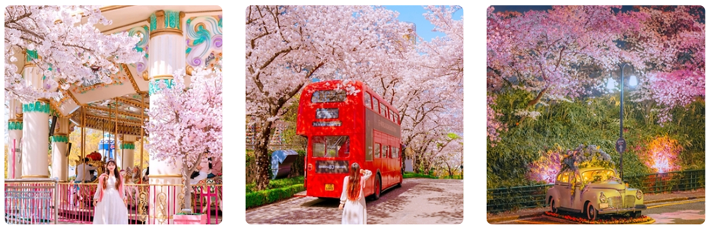 이월드 블라썸 피크닉 기본정보