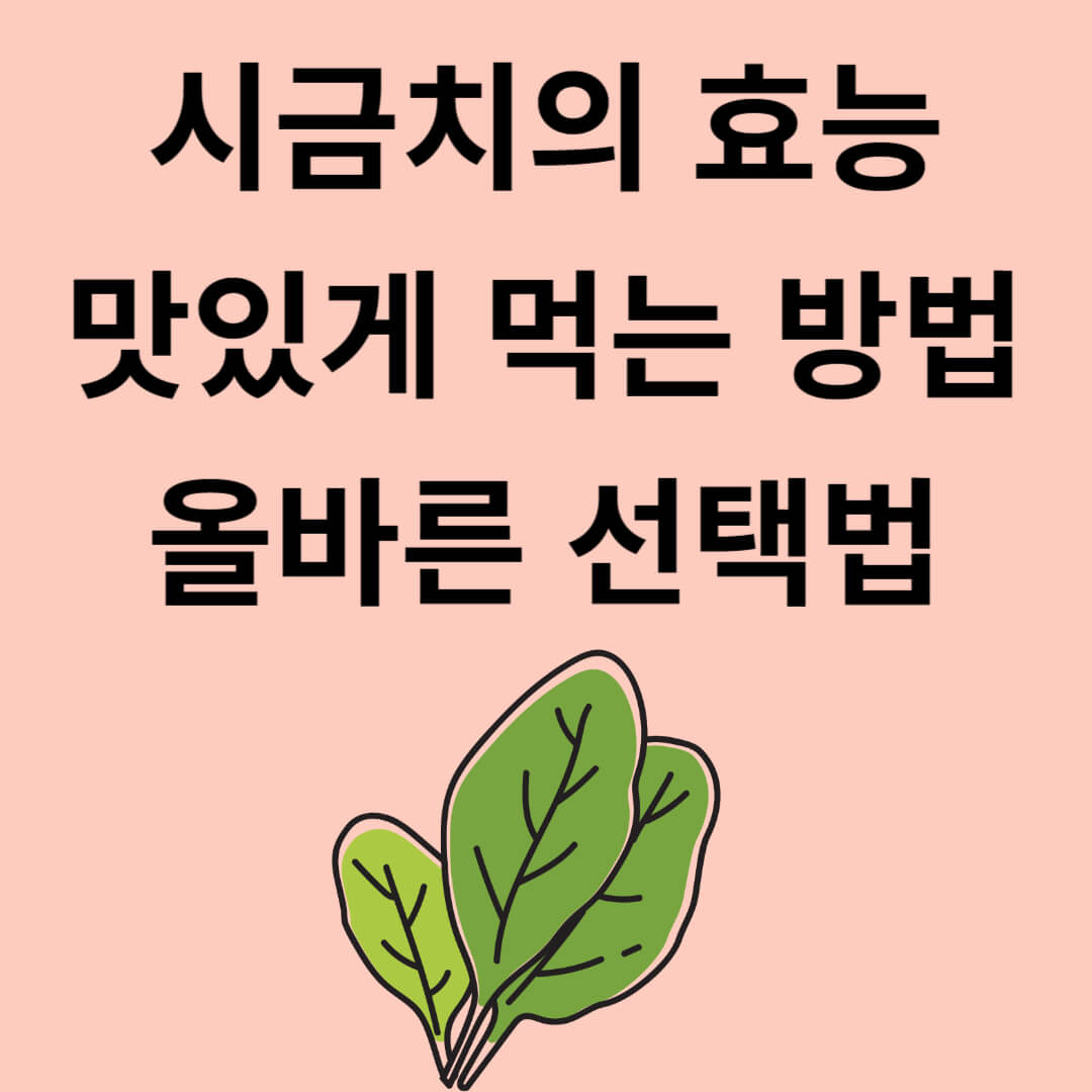 귀중한 채소 시금치의 효능과 맛있게 먹는 법, 선택 법
