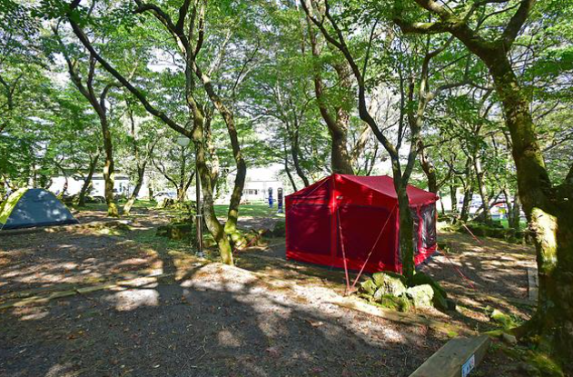 관음사관련사진