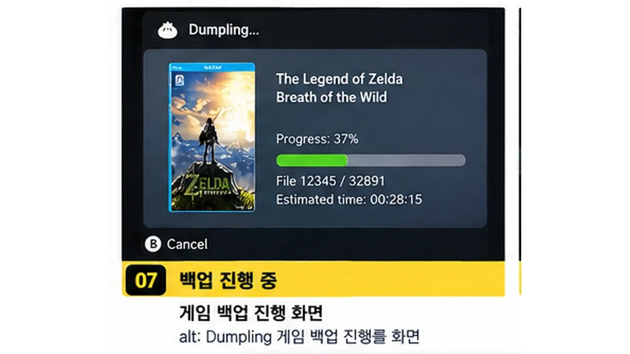 Dumpling Wii U 게임 백업 진행률 파일 수 예상시간 화면