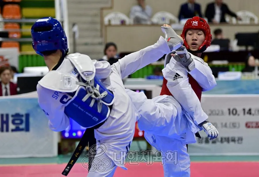 직장운동경기부 태권도