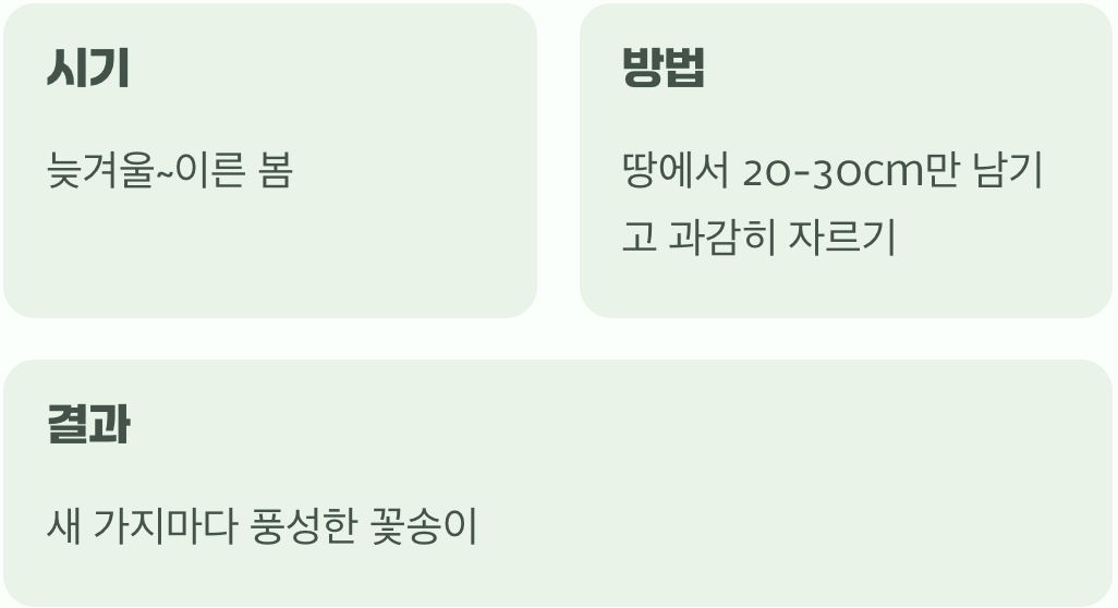 비결 3. 꽃폭탄을 위한 약속, '가지치기'