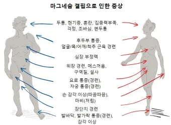 마그네슘 부족현상_19
